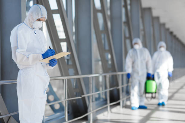 Best Real Estate Mold Inspection  in Atlantic Beach, FL