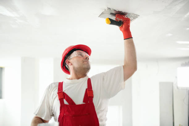 Best Commercial Mold Inspection  in Atlantic Beach, FL